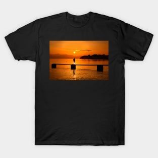 The shining silhouette T-Shirt